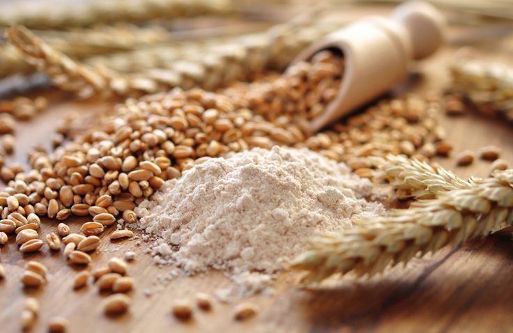 How to Request a Quotation (RFQ) for Wholesale Iranian Wheat Flour Supply?
